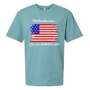 Motherfcker IM An American Sueded Cloud Jersey T-Shirt