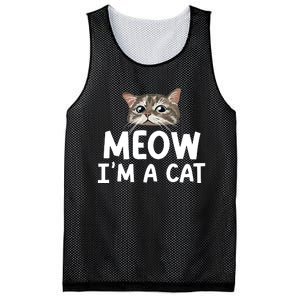 Meow IM A Cat Funny Halloween Costume Spooky Pet Lover Mesh Reversible Basketball Jersey Tank