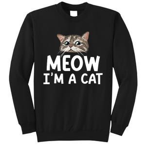 Meow IM A Cat Funny Halloween Costume Spooky Pet Lover Tall Sweatshirt