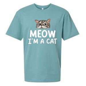 Meow IM A Cat Funny Halloween Costume Spooky Pet Lover Sueded Cloud Jersey T-Shirt