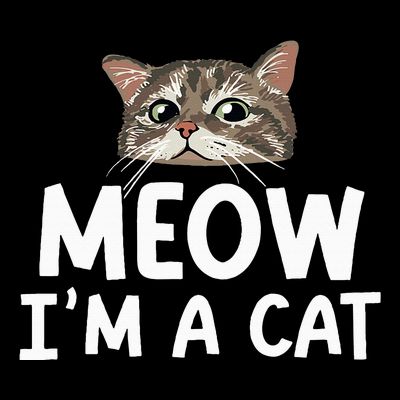 Meow I'm A Cat Funny Halloween Costume Spooky Pet Lover T-Shirt