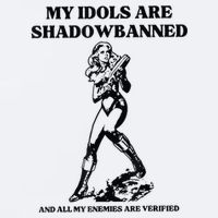My Idols Are Shadowbanned And All My Enemies Are Verified Sueded Cloud Jersey T-Shirt
