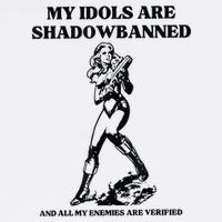 My Idols Are Shadowbanned And All My Enemies Are Verified Wool Snapback Cap