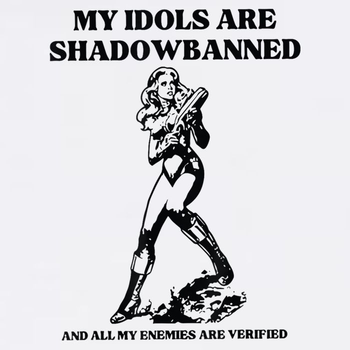 My Idols Are Shadowbanned And All My Enemies Are Verified Wool Snapback Cap