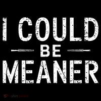 Meme I Could Be Meaner Vintage Retro Funny  Flatbill Hat