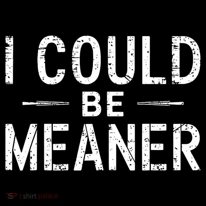 Meme I Could Be Meaner Vintage Retro Funny  Womens T-Shirt