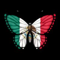 Mexican Independence Day Butterfly Bag