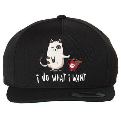 Meow I Do What I Want Vintage Black Cat Red Cup Funny My Cat Wool Snapback Cap