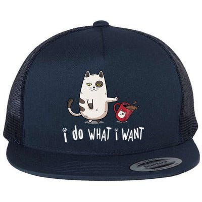 Meow I Do What I Want Vintage Black Cat Red Cup Funny My Cat Flat Bill Trucker Hat