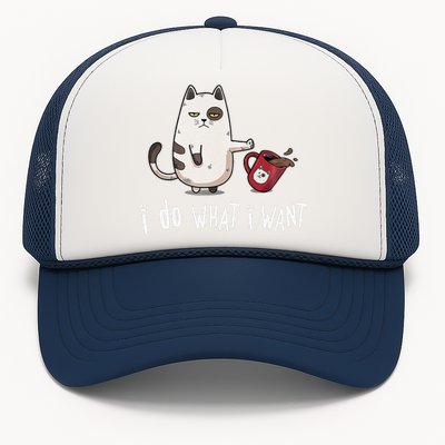 Meow I Do What I Want Vintage Black Cat Red Cup Funny My Cat Trucker Hat