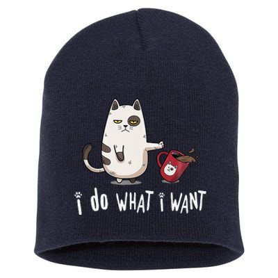 Meow I Do What I Want Vintage Black Cat Red Cup Funny My Cat Short Acrylic Beanie