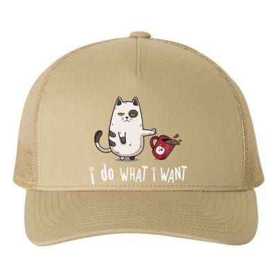 Meow I Do What I Want Vintage Black Cat Red Cup Funny My Cat Yupoong Adult 5-Panel Trucker Hat