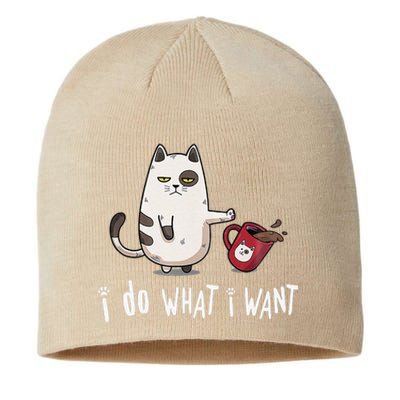 Meow I Do What I Want Vintage Black Cat Red Cup Funny My Cat Sustainable Beanie