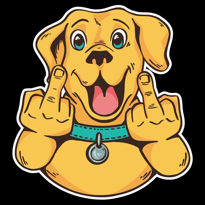 Middle Finger Dog Wool Snapback Cap