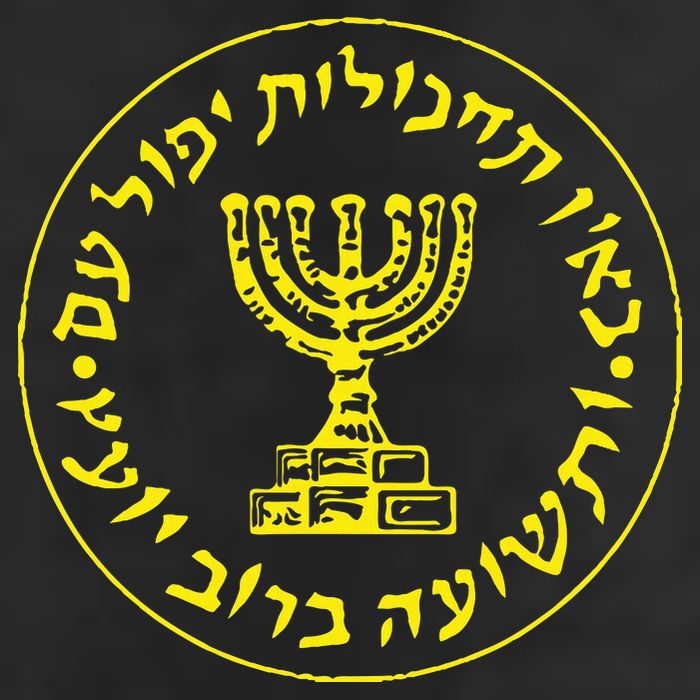 Mossad Idf Israel Secret Service Adult Drive Performance Visor