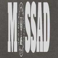 Mossad Israel Israeli Secret Service Tel Aviv Menorah IDF Cotton Canvas Backpack