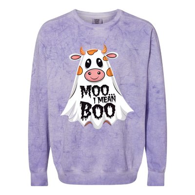 Moo I Mean Boo Cow Halloween Animal Fun Costume Party Great Gift Colorblast Crewneck Sweatshirt