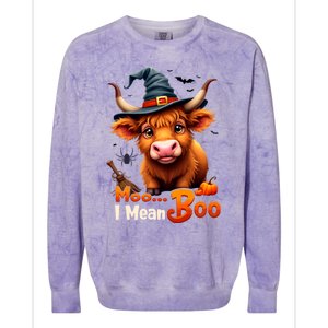 Moo I Mean Boo Cute Cow Bull Witch Hat Halloween Costume Gift Colorblast Crewneck Sweatshirt