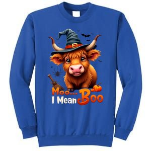 Moo I Mean Boo Cute Cow Bull Witch Hat Halloween Costume Gift Sweatshirt