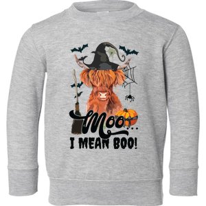 Moo I Mean Boo Witch Scottish Highland Cow Halloween Costume Long Sleeve Toddler Sweatshirt