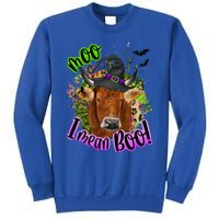 Moo I Mean Boo Witch Funny Cow With Halloween Costume Gift Sweatshirt