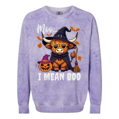 Moo I Mean Boo Witch Highland Cow Halloween Costume Cute Gift Colorblast Crewneck Sweatshirt