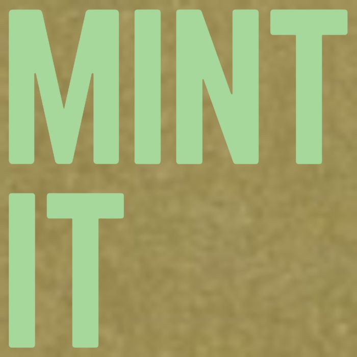 Mint It NFT Funny Crypto Currency Garment-Dyed Women's Muscle Tee