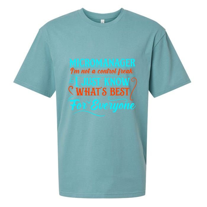 Micromanager IM Not A Control Freak Funny Supervisor Sueded Cloud Jersey T-Shirt