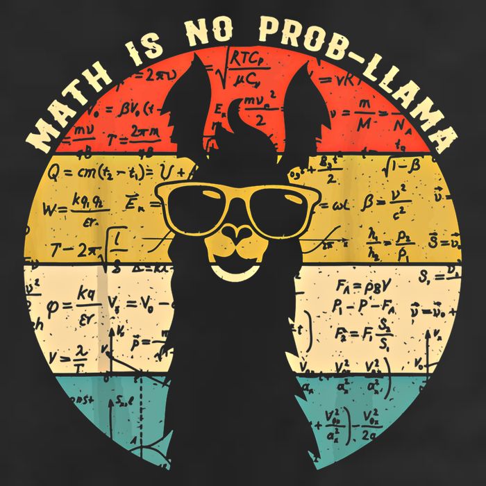 Math Is No Probllama Math Llama Teacher Graphic Plus Size Gift Premium Pullover Hoodie