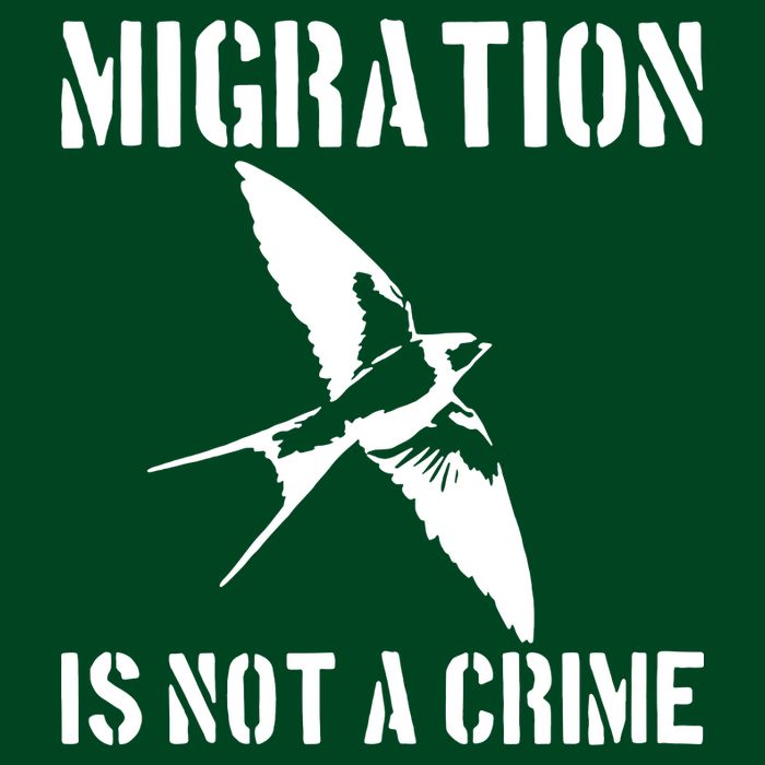 Migration Is Not A Crime Mousepad