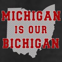 Michigan Is Our Bichigan Funny Ohio  7 Panel Mesh Trucker Snapback Hat
