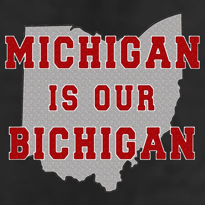 Michigan Is Our Bichigan Funny Ohio  7 Panel Mesh Trucker Snapback Hat