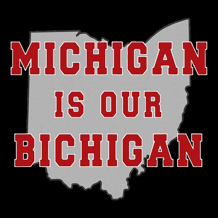 Michigan Is Our Bichigan Funny Ohio Sweatshirt