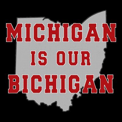 Michigan Is Our Bichigan Funny Ohio T-Shirt