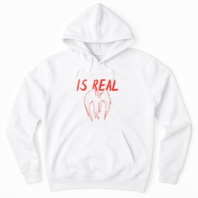 Mothman Is Real And He's My Boyfriend Funny Mothman Meme  Hoodie