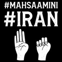 Mahsaamini Iran Symbol Flatbill Hat