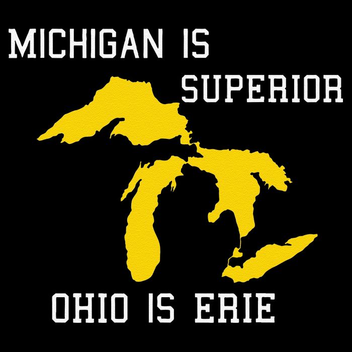 Michigan Is Superior Ohio Is Erie Button