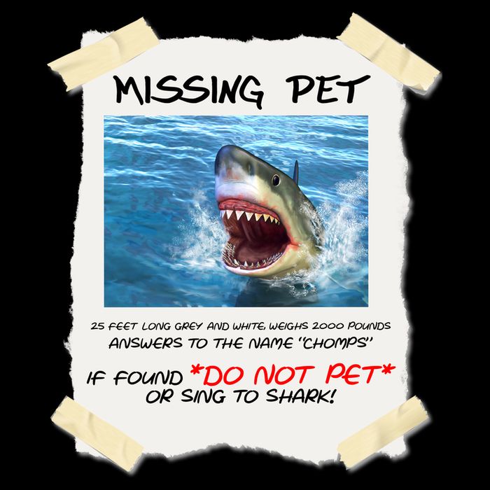 Missing Pet Funny Great White Shark  Cropped Pullover Crew