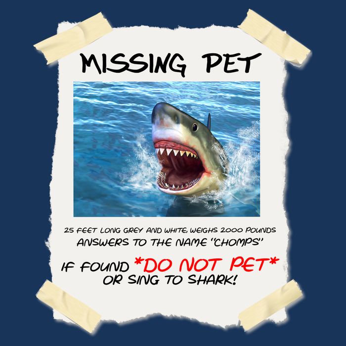 Missing Pet Funny Great White Shark  Polo