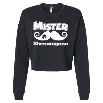 Mister Shenanigans Mustache Cropped Pullover Crew