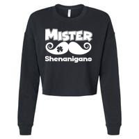 Mister Shenanigans Mustache Cropped Pullover Crew
