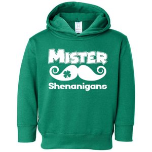 Mister Shenanigans Mustache Toddler Hoodie