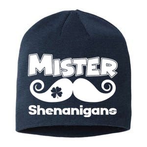 Mister Shenanigans Mustache Sustainable Beanie