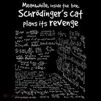 Meanwhile Inside The Box SchrodingerS Cat Plans Its Revenge Tall T-Shirt