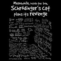 Meanwhile Inside The Box SchrodingerS Cat Plans Its Revenge 7-Panel Snapback Hat