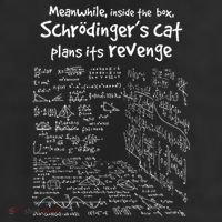 Meanwhile Inside The Box SchrodingerS Cat Plans Its Revenge 11oz C Handle Ceramic Mug