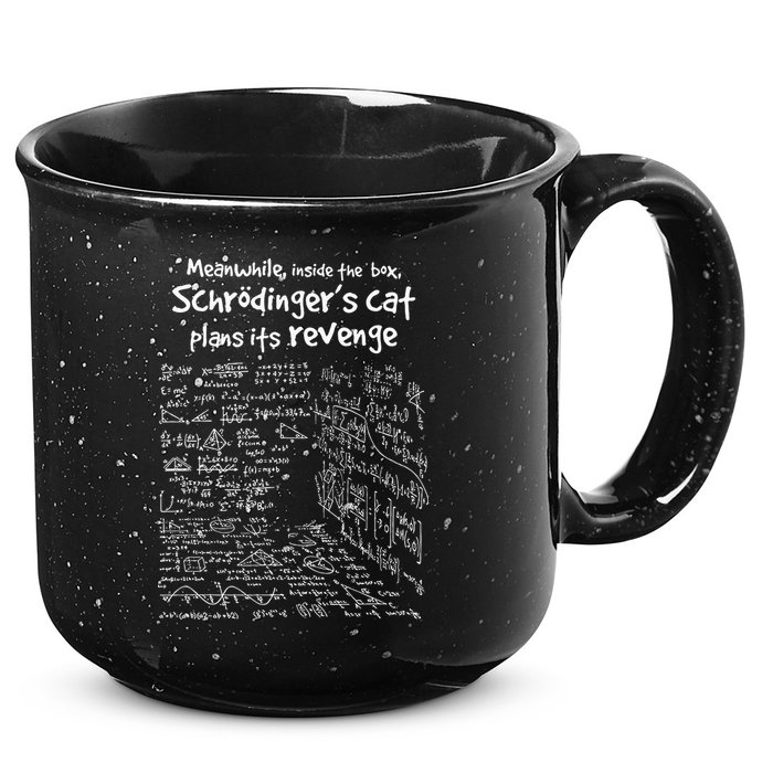 Meanwhile Inside The Box SchrodingerS Cat Plans Its Revenge 15oz Campfire Ceramic Mug