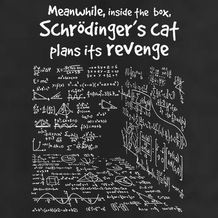 Meanwhile Inside The Box SchrodingerS Cat Plans Its Revenge 15oz Campfire Ceramic Mug