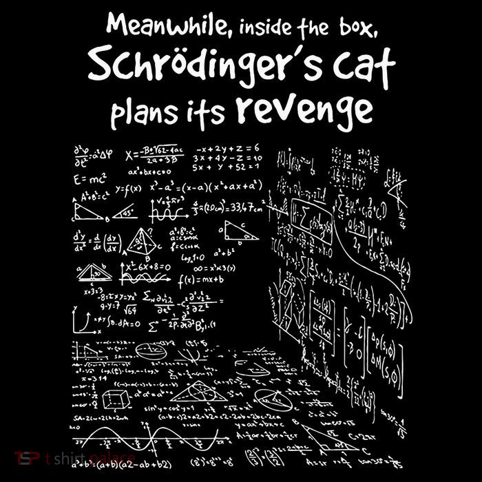 Meanwhile Inside The Box SchrodingerS Cat Plans Its Revenge Poster