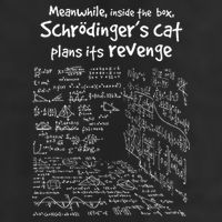 Meanwhile Inside The Box SchrodingerS Cat Plans Its Revenge Hat